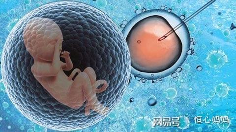 胚胎培养箱